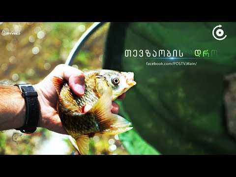 თევზაობის დრო - FISHING TIME   ნადარბაზევის ტბა